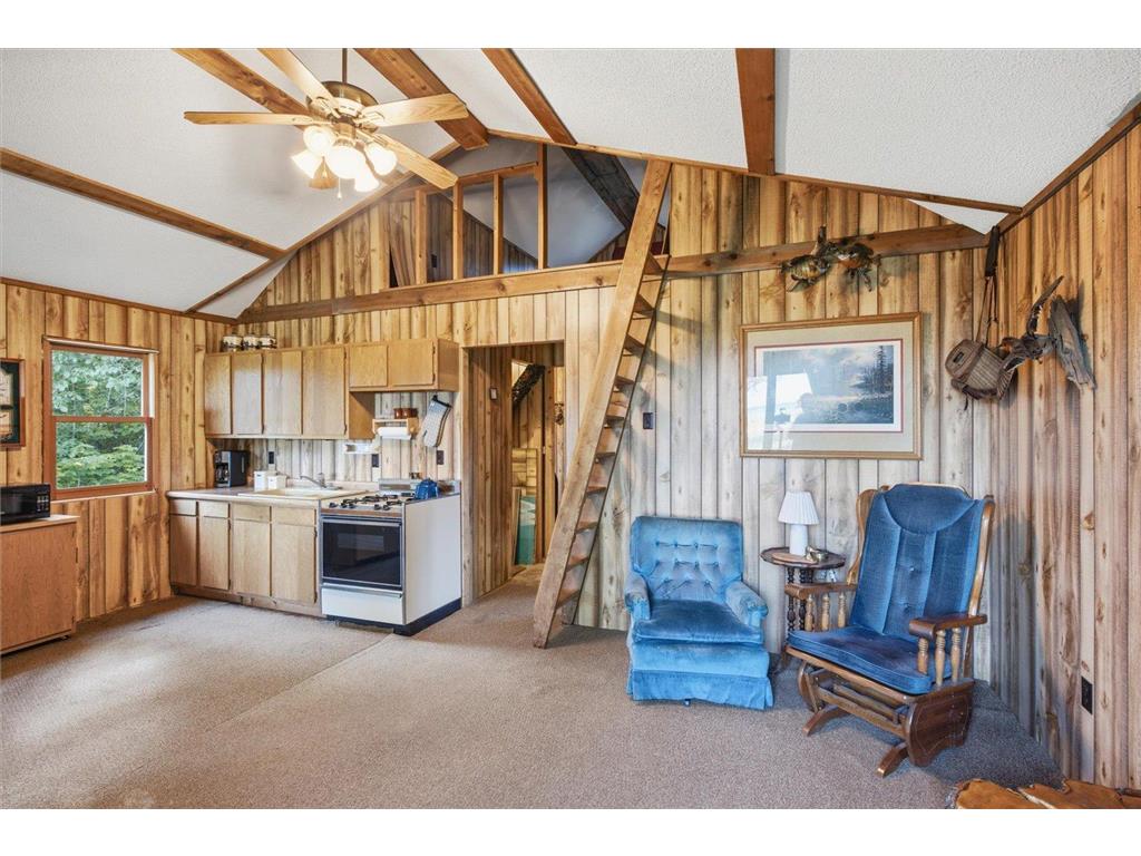 47311 Cr-134 Bowstring Twp MN 56637 - Jessie Lake 7103594 image16