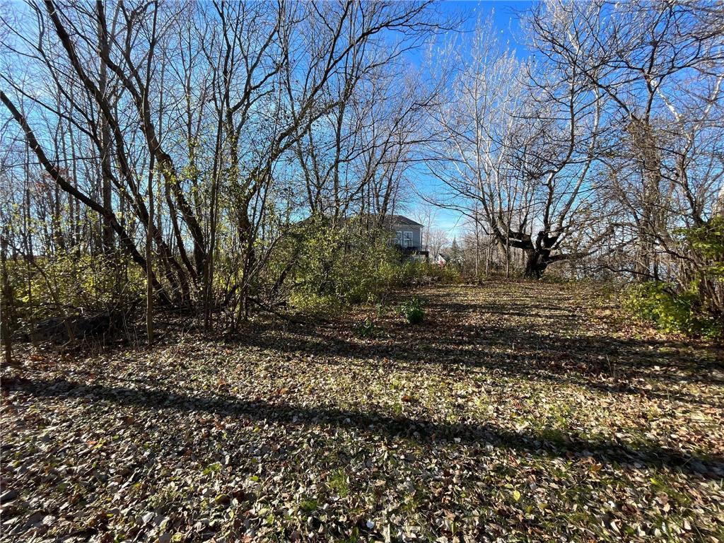 4736 S Lake Sarah Drive, Greenfield, MN, 55359 MLS 6466545 Edina