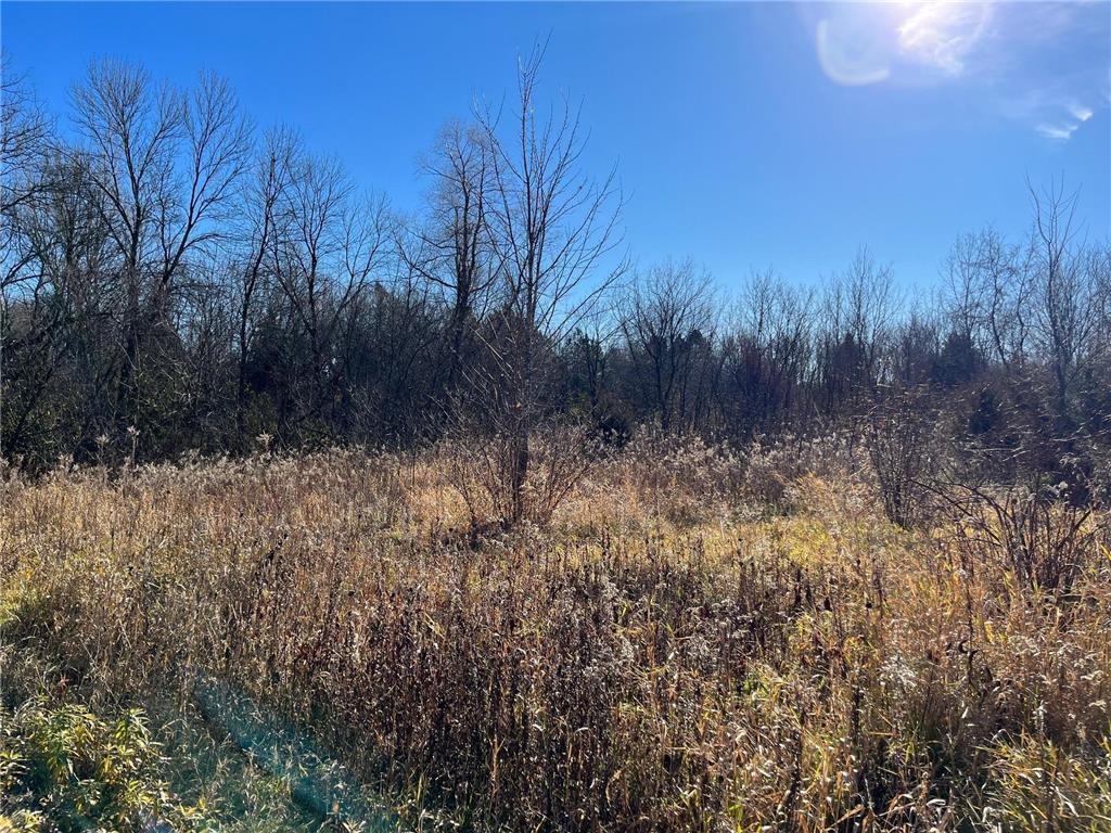 4736 S Lake Sarah Drive, Greenfield, MN, 55359 MLS 6466545 Edina