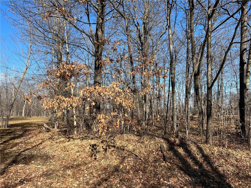 473XX Golf Circle Garrison MN 56450 6497755 image1