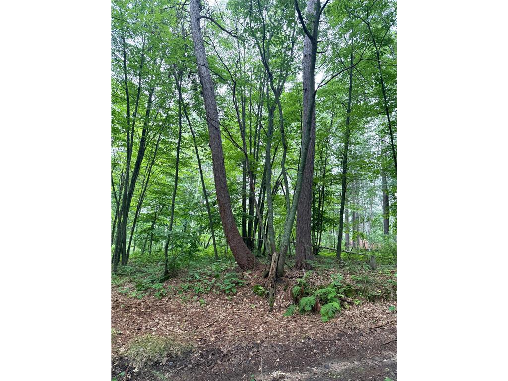 47458 182nd Avenue Mcgregor MN 55760 6813030 image6