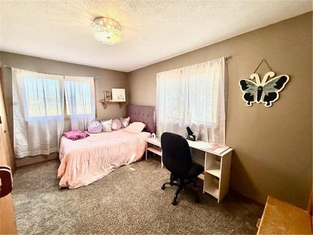475 E CSAH 10 Vesta MN 56292 7041331 image29