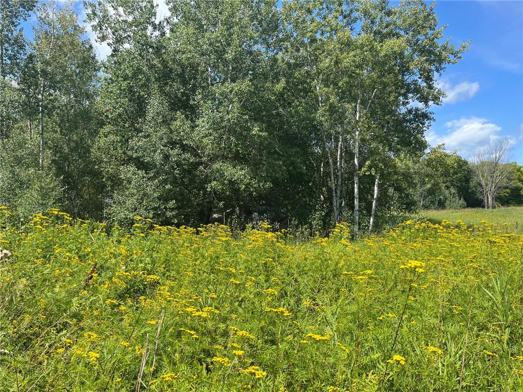 47530 Bourman Road, Lake Jessie Twp, MN, 56688 MLS 6497181 Edina