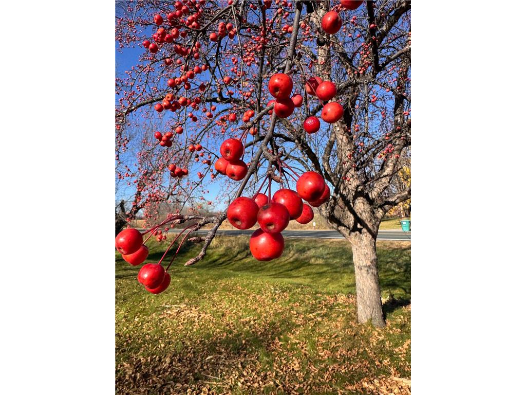 4757 Rush Lake Road Rush City MN 55069 - East Rush 7000042 image32