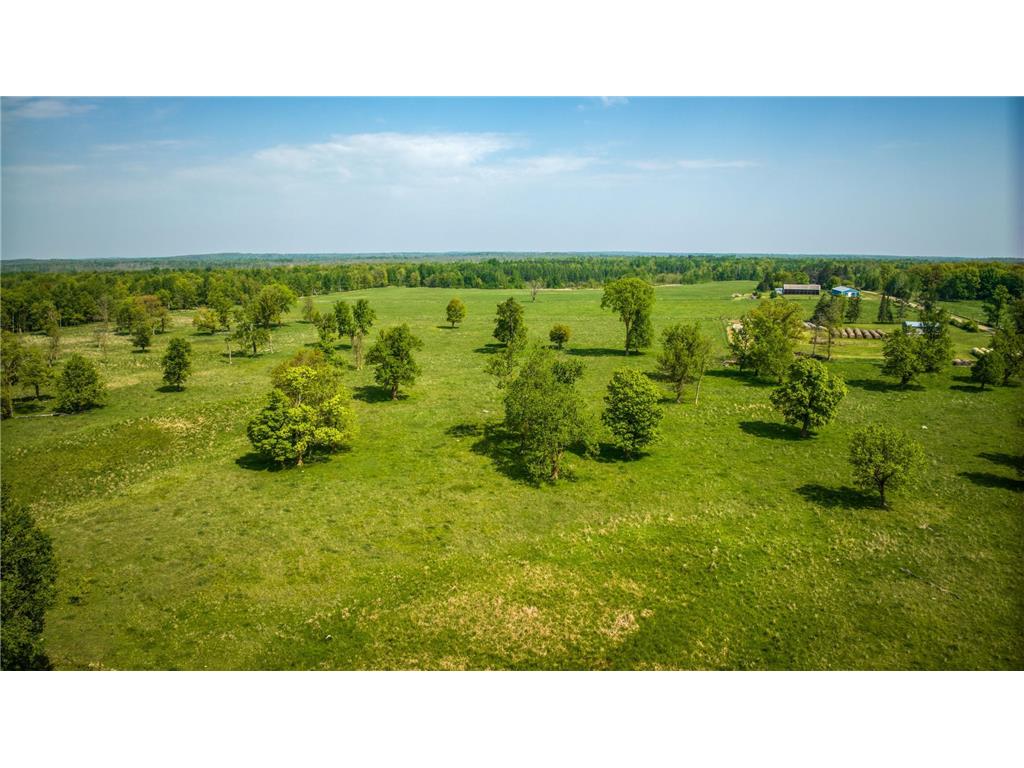 47577 367th Place Waukenabo Twp MN 56469 6725609 image29