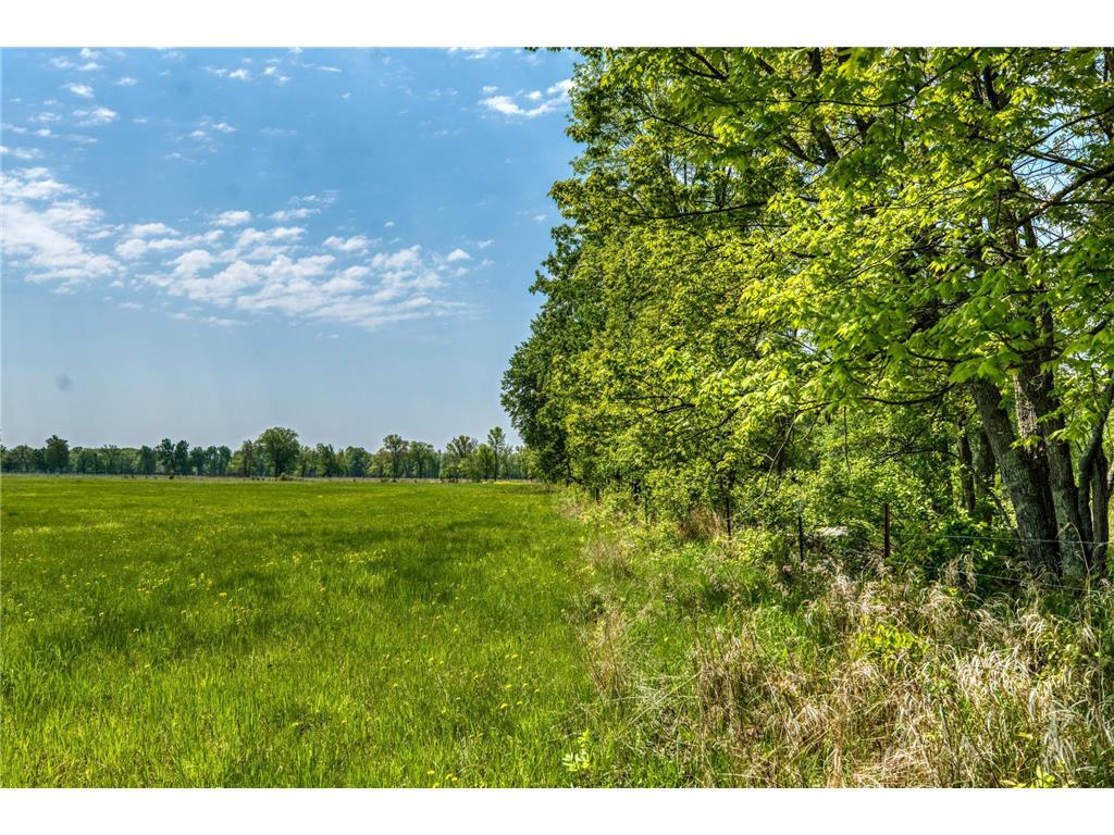 47577 367th Place Waukenabo Twp MN 56469 6725609 image60