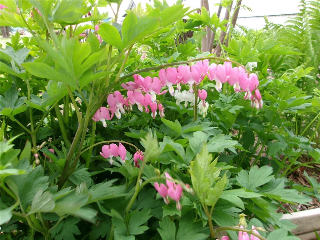 47577 367th Place Waukenabo Twp MN 56469 6725609 image75