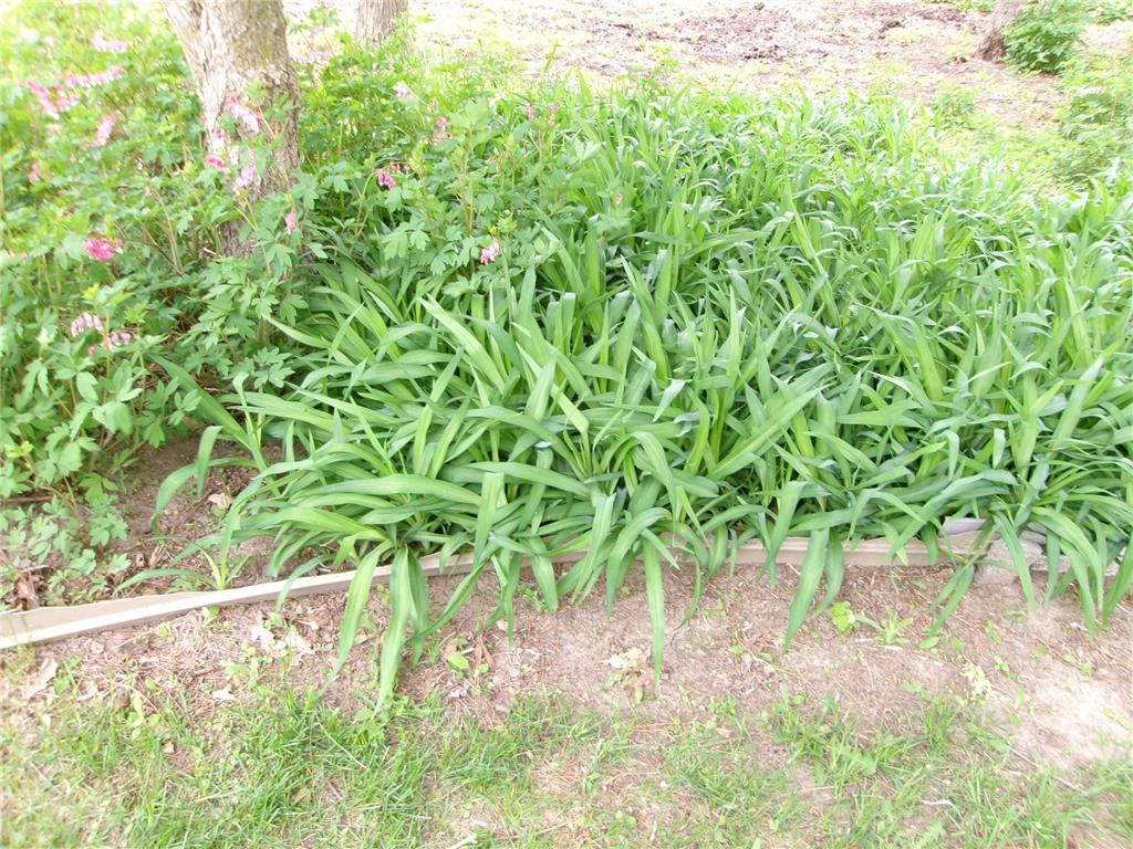 47577 367th Place Waukenabo Twp MN 56469 6725609 image76