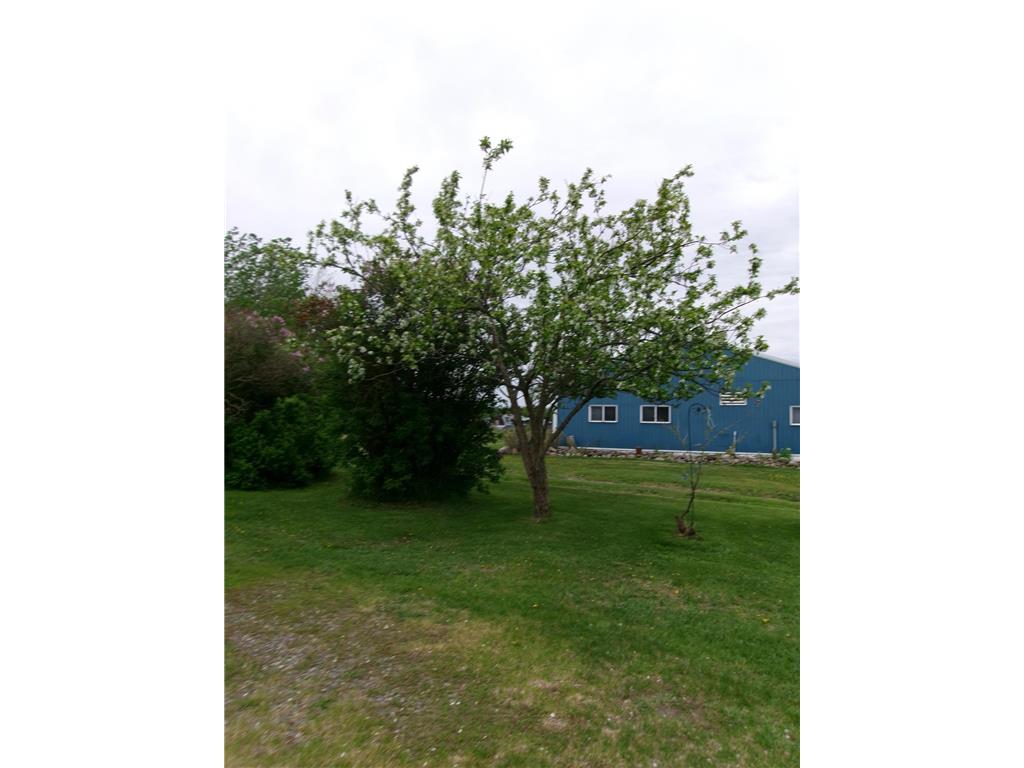 47577 367th Place Waukenabo Twp MN 56469 6725609 image80