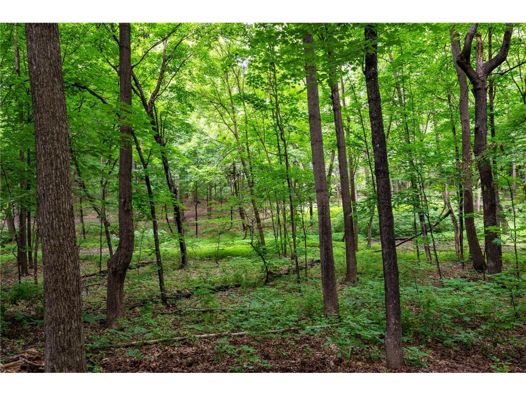 4769 Nason Parkway NE Saint Michael MN 55376 7089967 image44