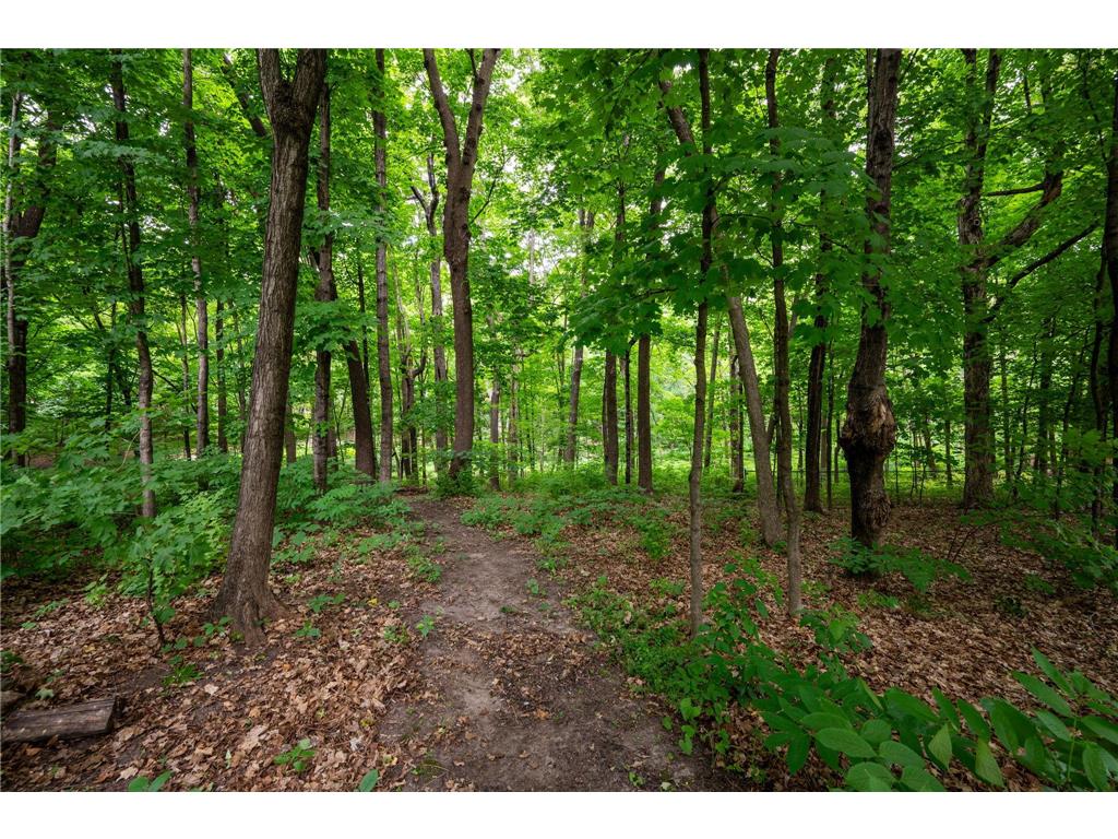 4769 Nason Parkway NE Saint Michael MN 55376 7089967 image45