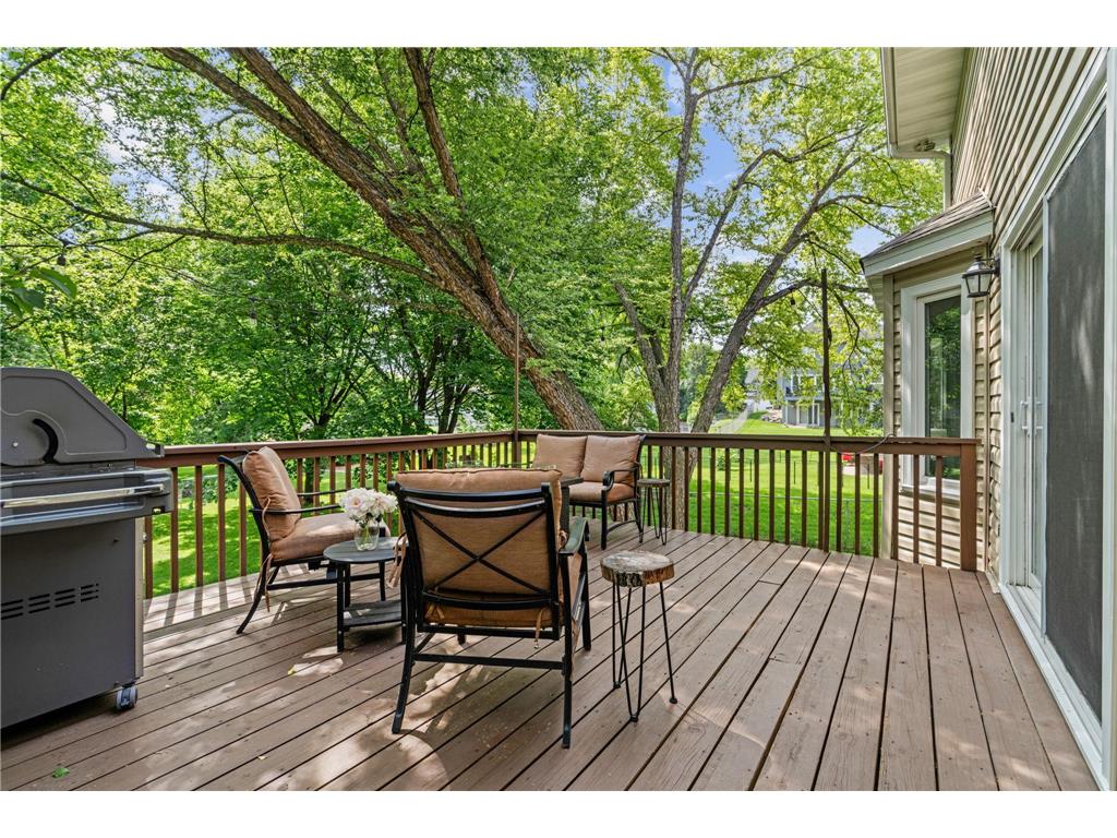 4770 Yorktown Lane N Plymouth MN 55442 7089167 image37