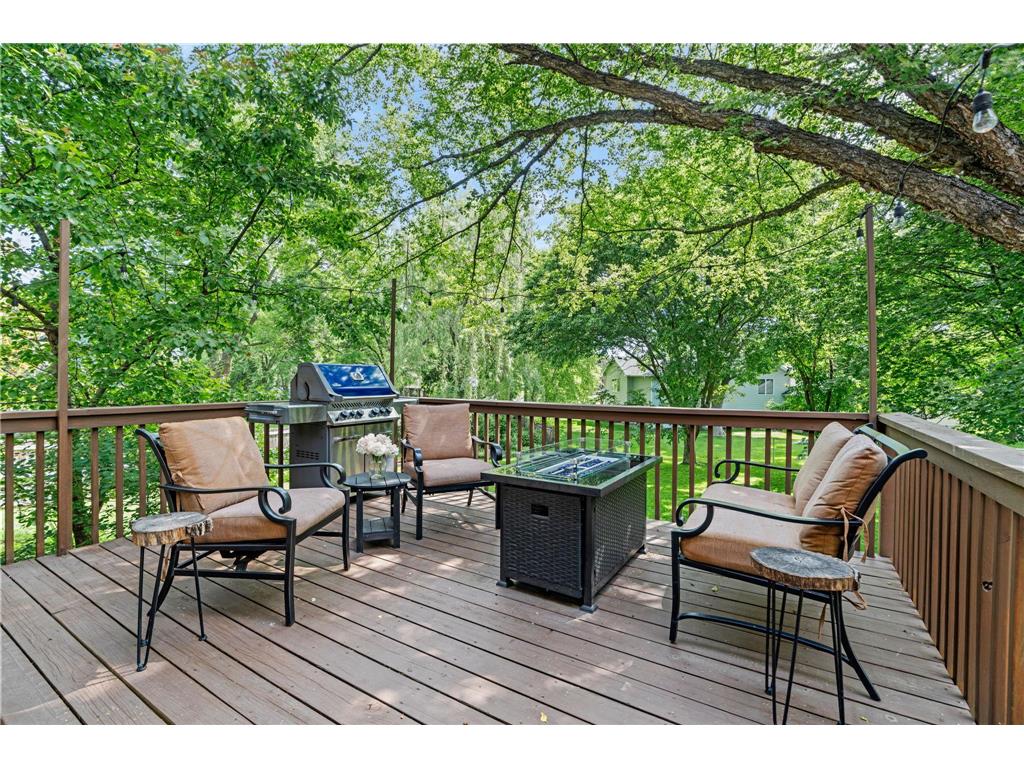 4770 Yorktown Lane N Plymouth MN 55442 7089167 image38