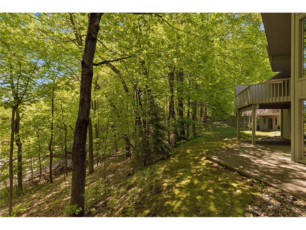 4785 Bayswater Road Shorewood MN 55331 7041586 image51