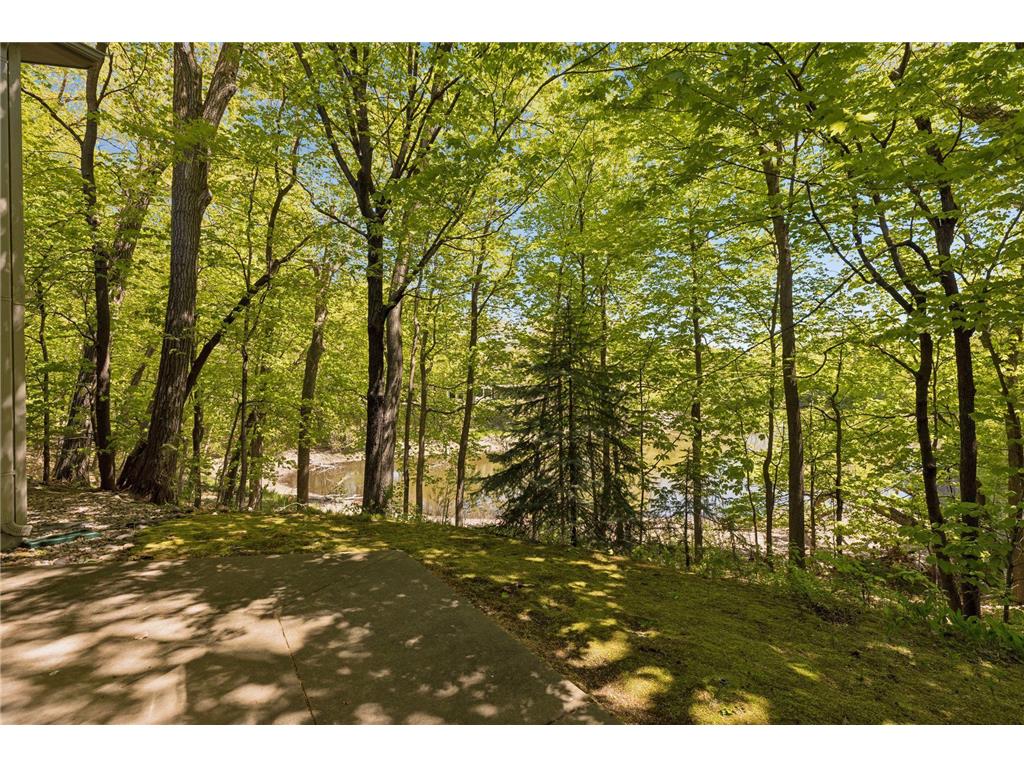 4785 Bayswater Road Shorewood MN 55331 7041586 image52