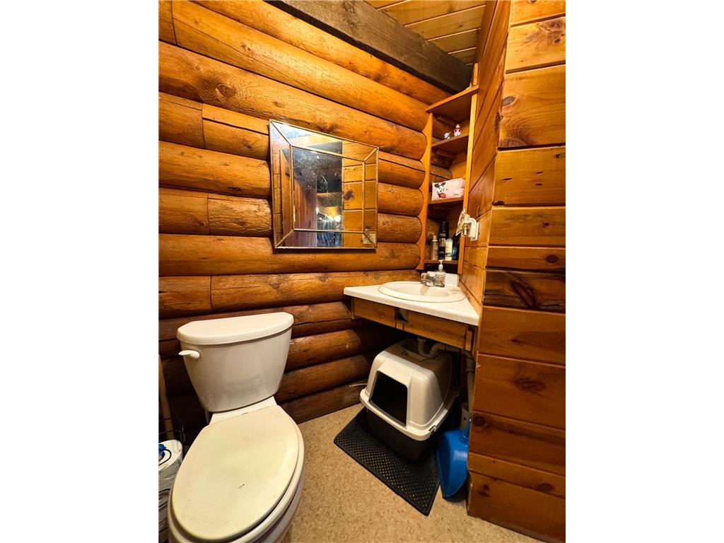 4787 Whitetail Road NE Bemidji MN 56601 7045133 image12
