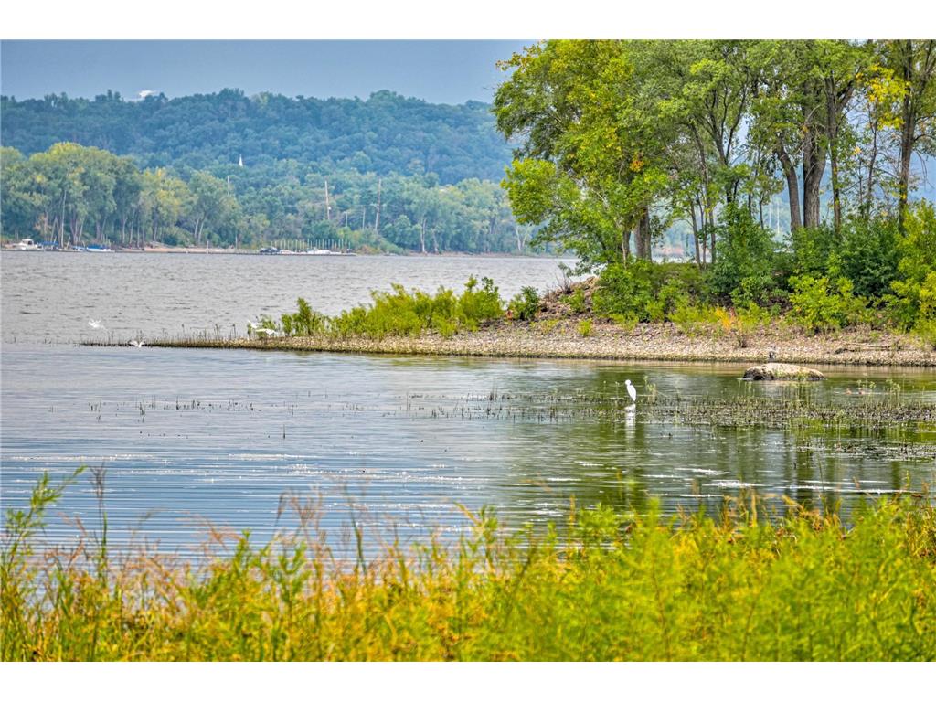 479 Mariner Drive Bayport MN 55003 - St Croix River 7015112 image5