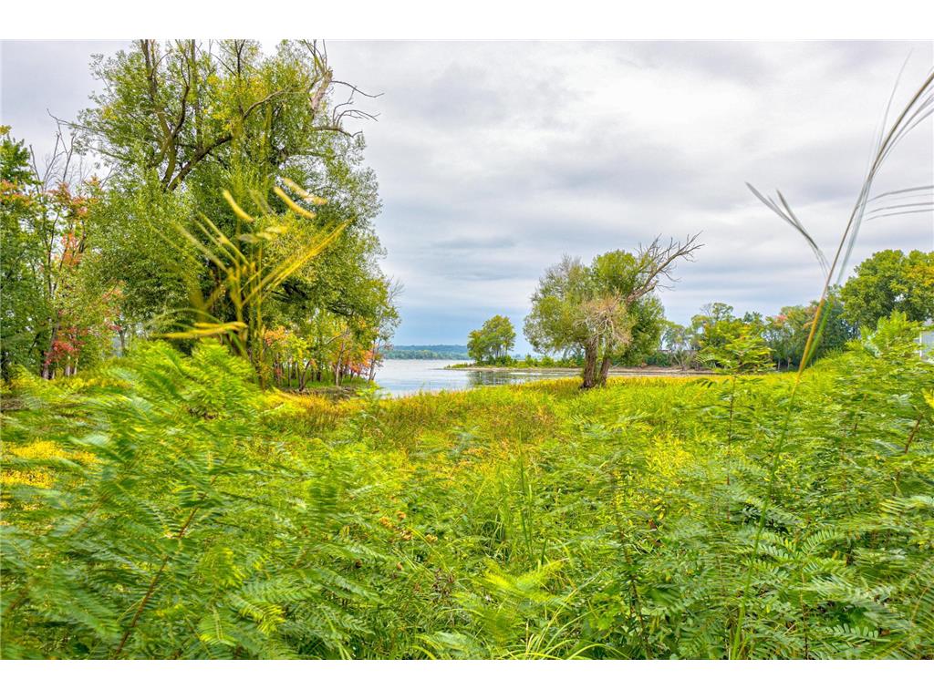 479 Mariner Drive Bayport MN 55003 - St Croix River 7015112 image67