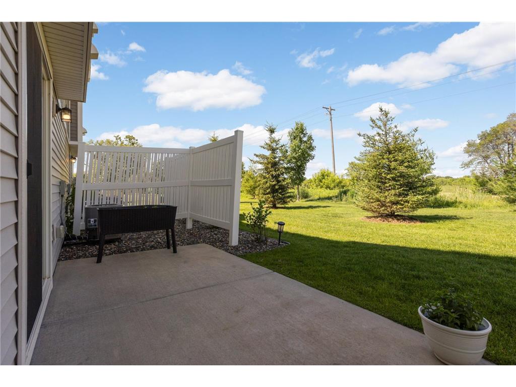 4790 Equine Trail Woodbury MN 55129 7099430 image34