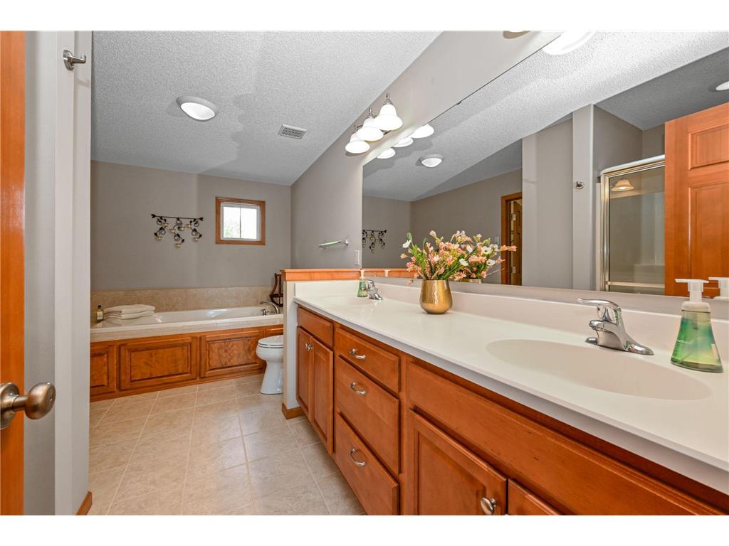 4796 198th Street W Farmington MN 55024 7057336 image16