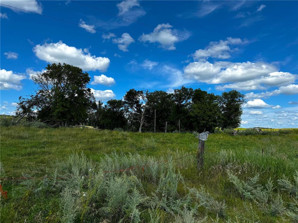 47969 180th St. Vining MN 56588 7077906 image11