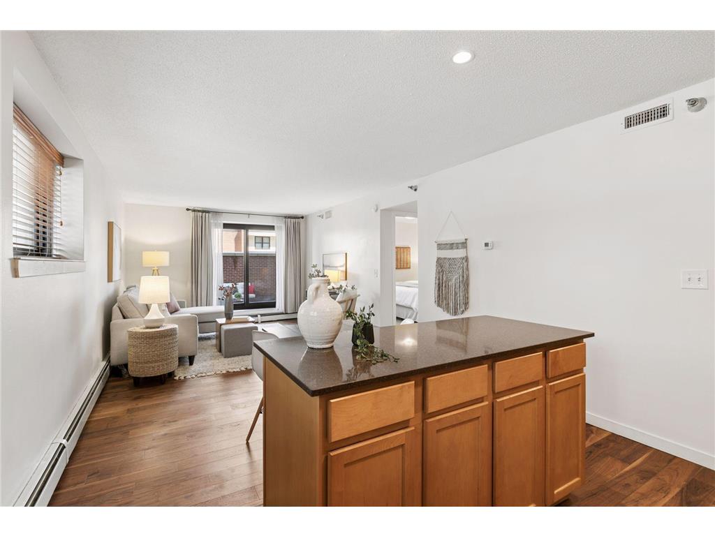 48 Groveland Terrace #B101 Minneapolis MN 55403 6826653 image25