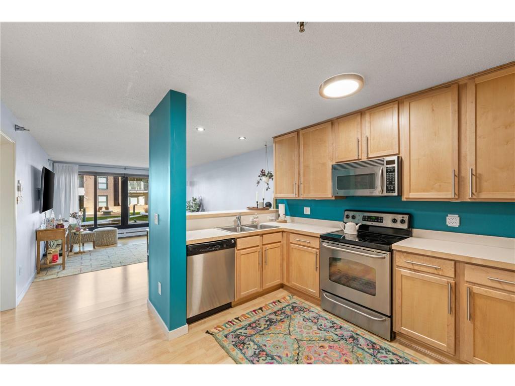 48 Groveland Terrace #B103 Minneapolis MN 55403 7039441 image1