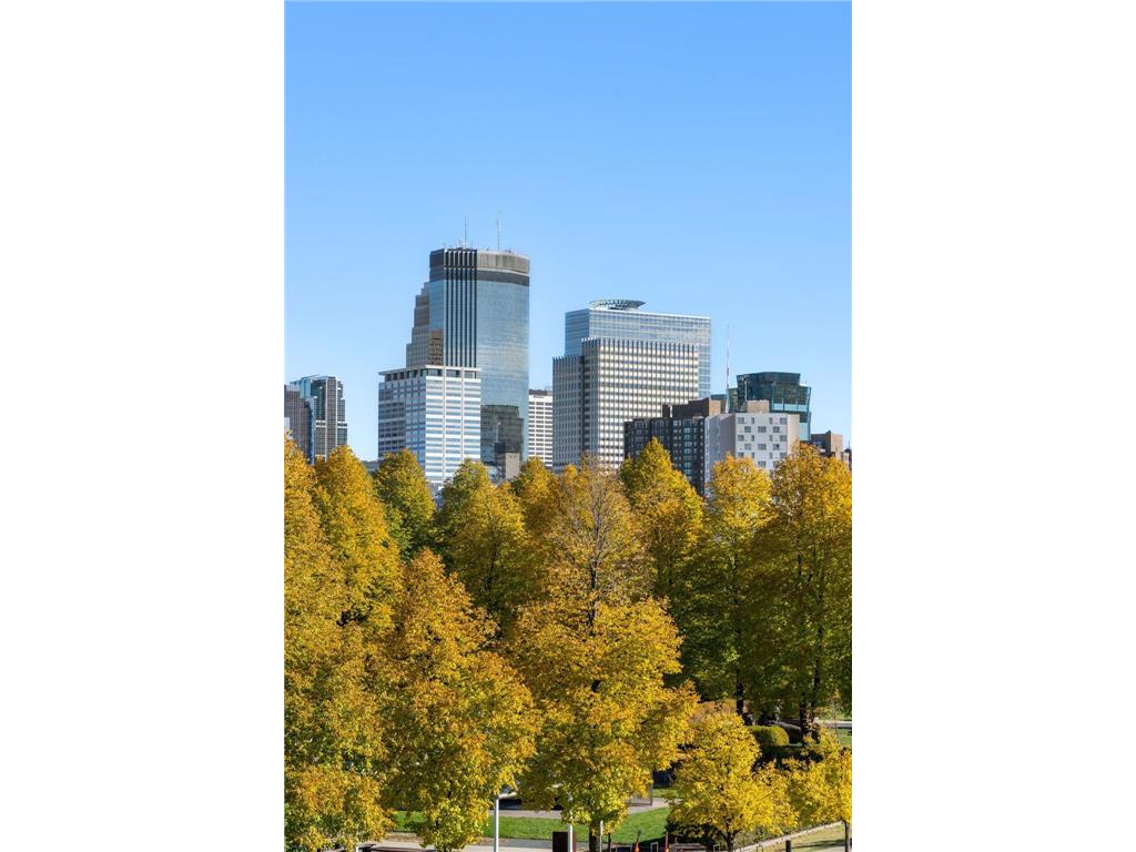 48 Groveland Terrace #B103 Minneapolis MN 55403 7039441 image21