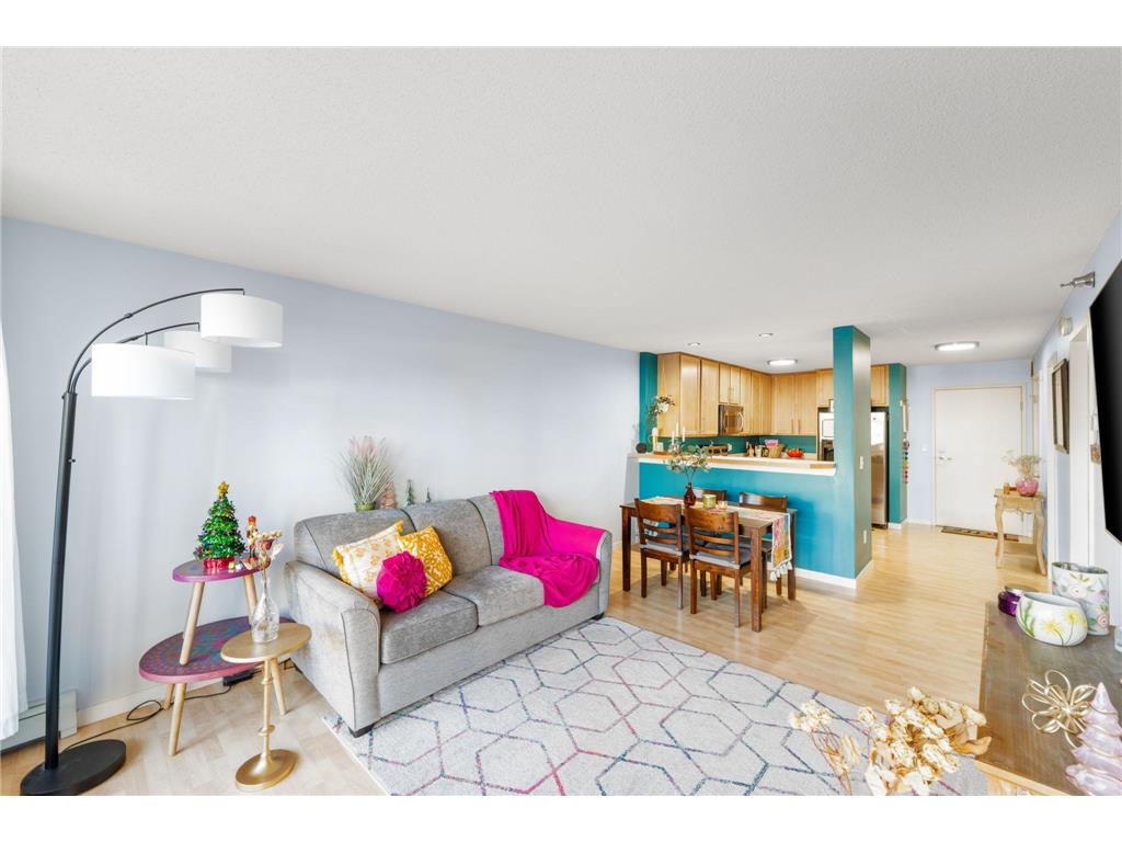 48 Groveland Terrace #B103 Minneapolis MN 55403 7039441 image6