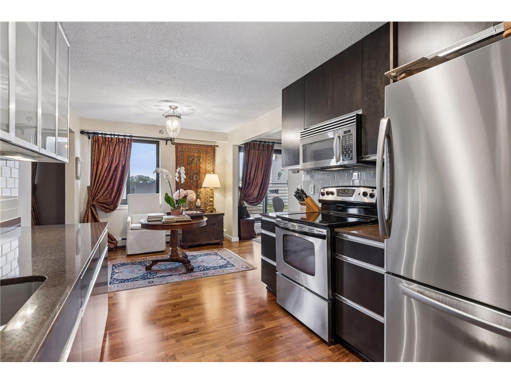48 Groveland Terrace #313 Minneapolis MN 55403 7057767 image18