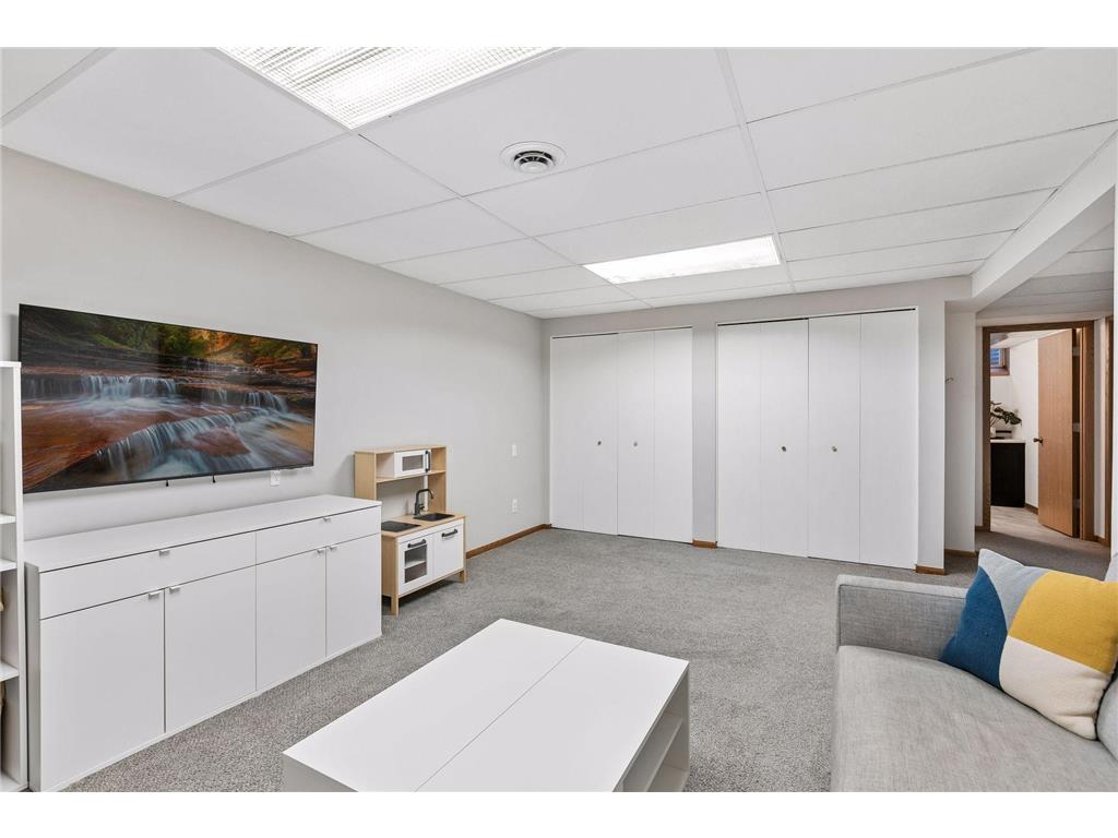 480 Dudley Avenue Shoreview MN 55126 7068673 image29