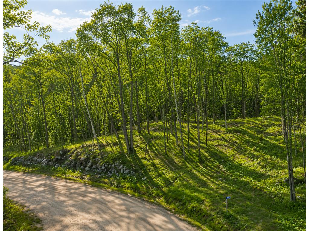 480 Ridgeway Lane Walker MN 56484 7006386 image1
