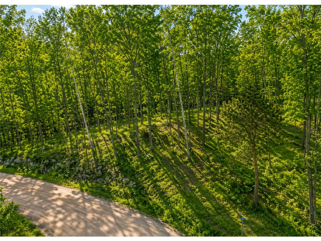 480 Ridgeway Lane Walker MN 56484 7006386 image2