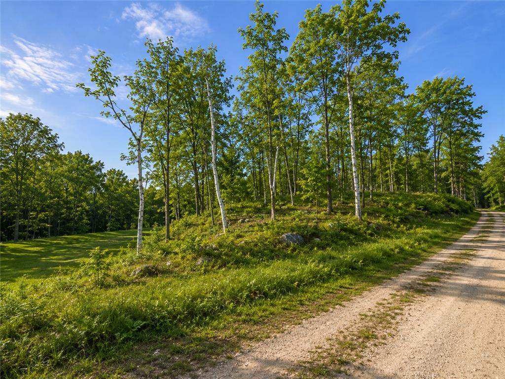 480 Ridgeway Lane Walker MN 56484 7006386 image3