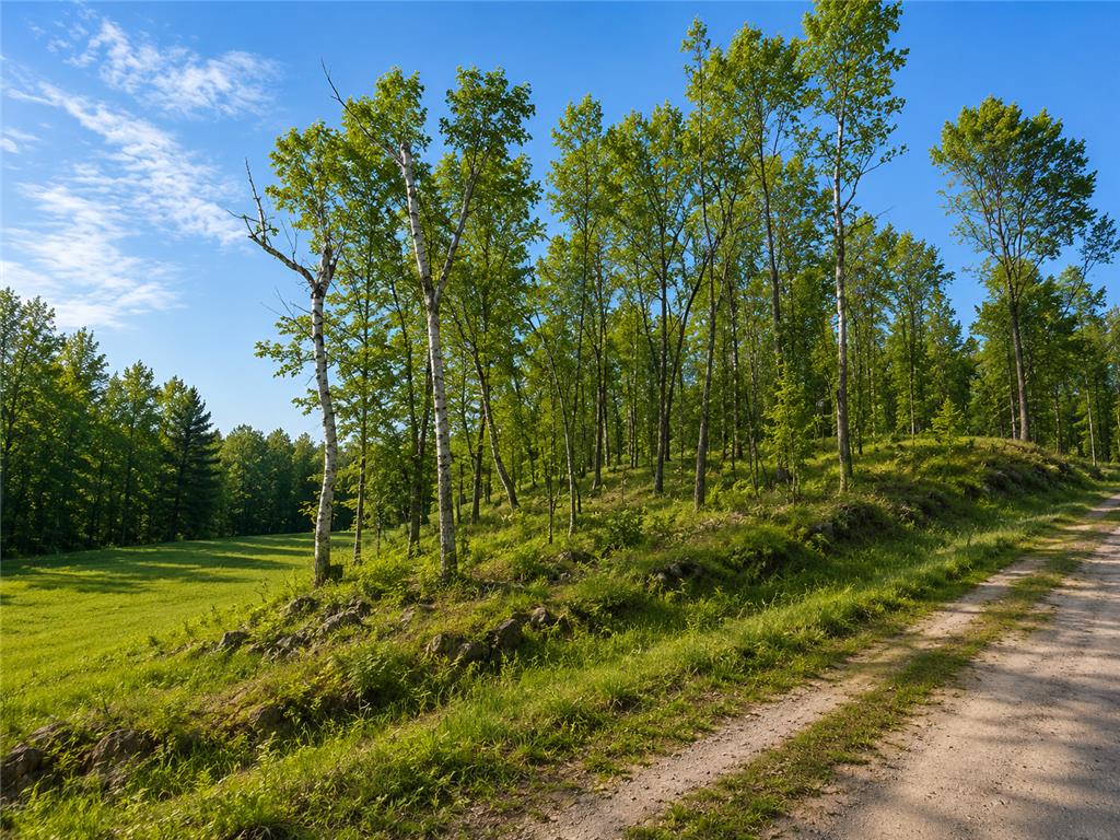 480 Ridgeway Lane Walker MN 56484 7006386 image4