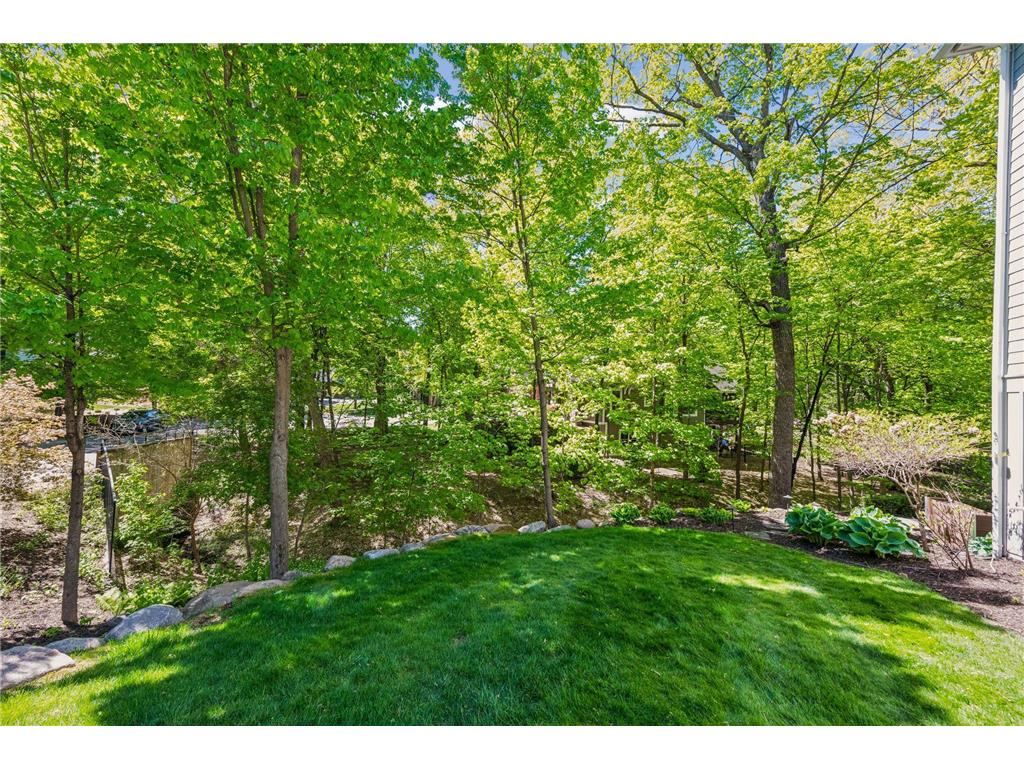 4802 Timber Ridge Circle Minnetonka MN 55345 7053657 image32