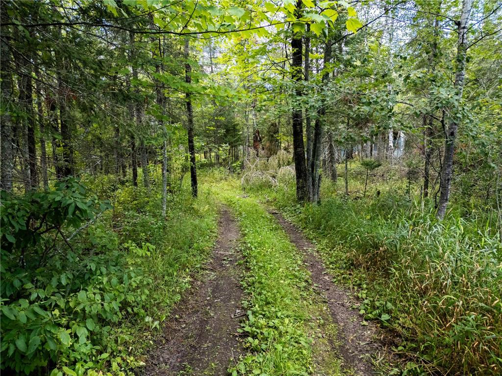 48029 110th Place Tamarack MN 55787 6813941 image10