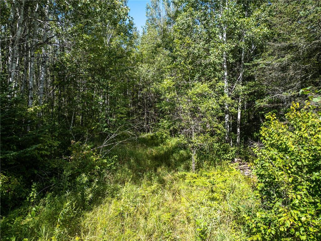 48029 110th Place Tamarack MN 55787 6813941 image17