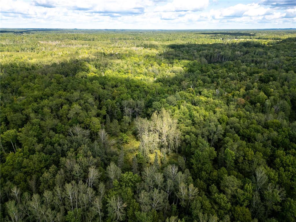 48029 110th Place Tamarack MN 55787 6813941 image19