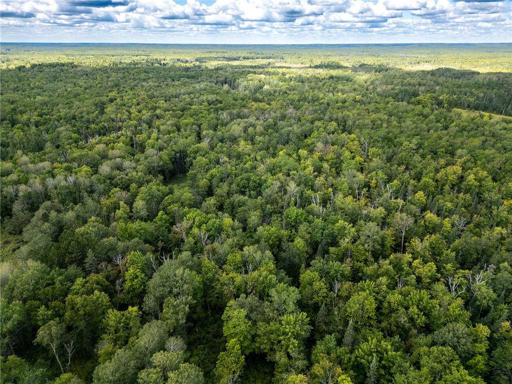 48029 110th Place Tamarack MN 55787 6813941 image2