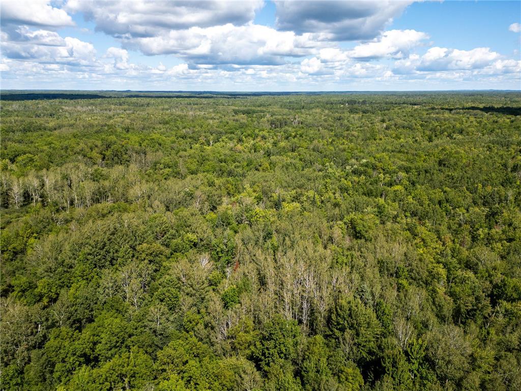 48029 110th Place Tamarack MN 55787 6813941 image20