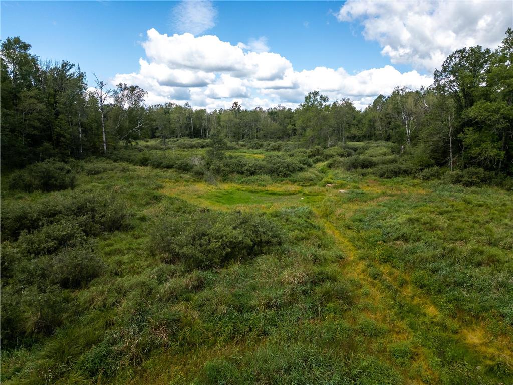 48029 110th Place Tamarack MN 55787 6813941 image3