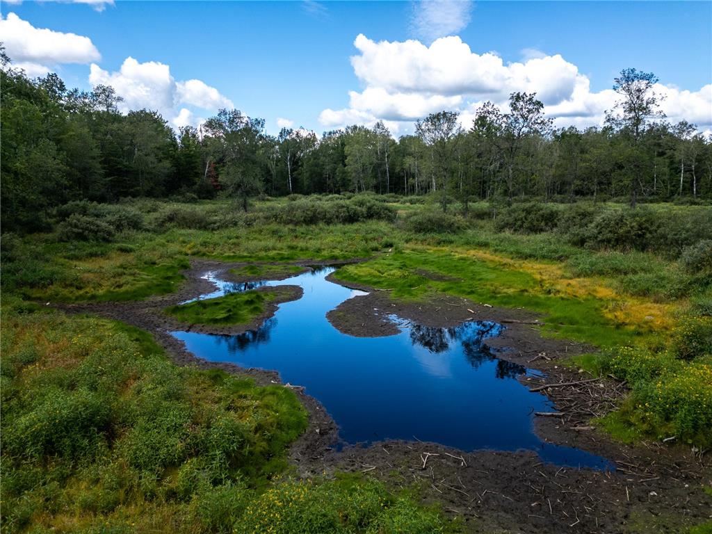 48029 110th Place Tamarack MN 55787 6813941 image5