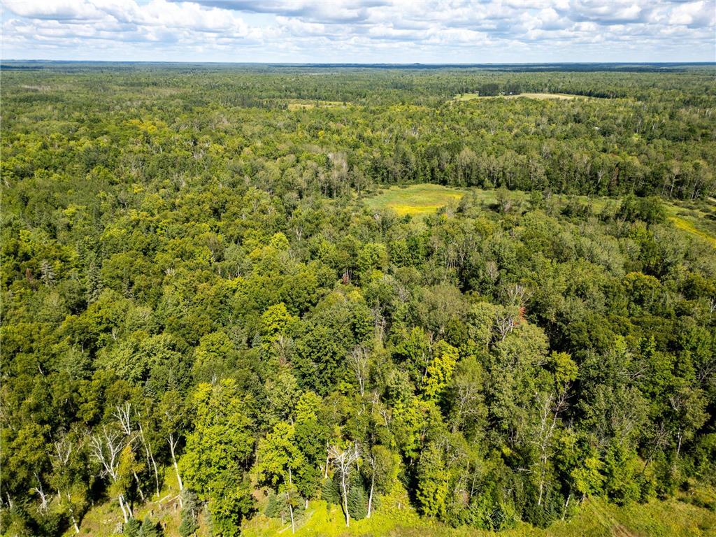 48029 110th Place Tamarack MN 55787 6813941 image7