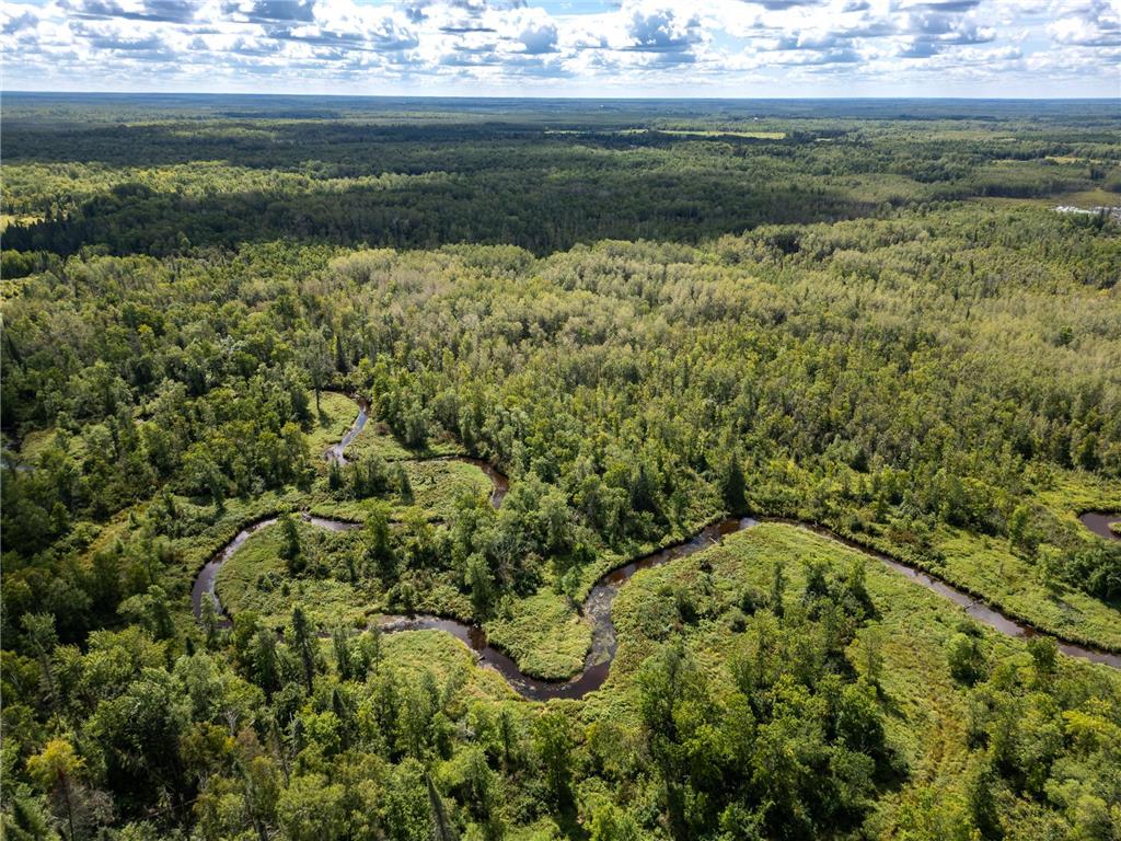 48029 110th Place Tamarack MN 55787 6813941 image9