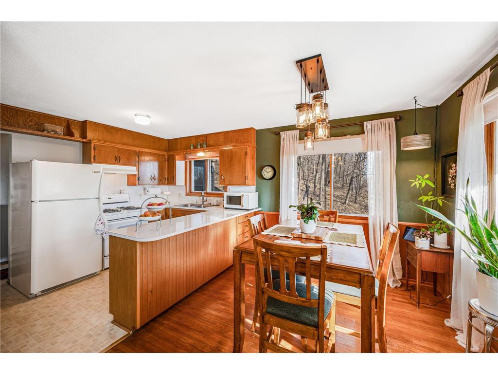 48050 Old River Bluff Road Saint Peter MN 56082 7091921 image26