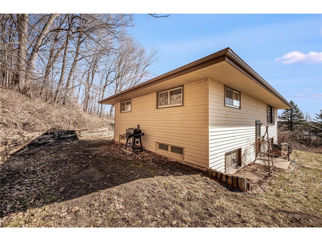 48050 Old River Bluff Road Saint Peter MN 56082 7091921 image39