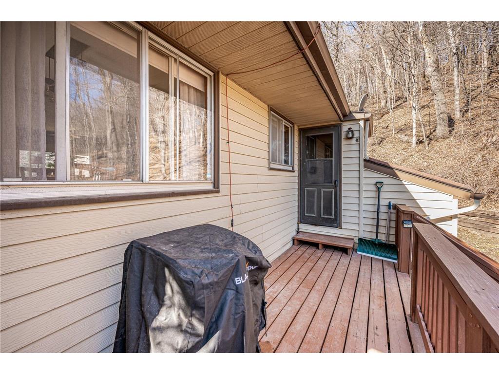 48050 Old River Bluff Road Saint Peter MN 56082 7091921 image57