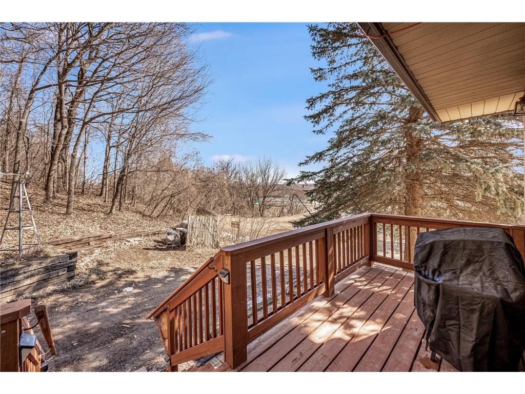 48050 Old River Bluff Road Saint Peter MN 56082 7091921 image58