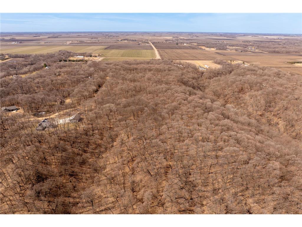 48050 Old River Bluff Road Saint Peter MN 56082 7091921 image64
